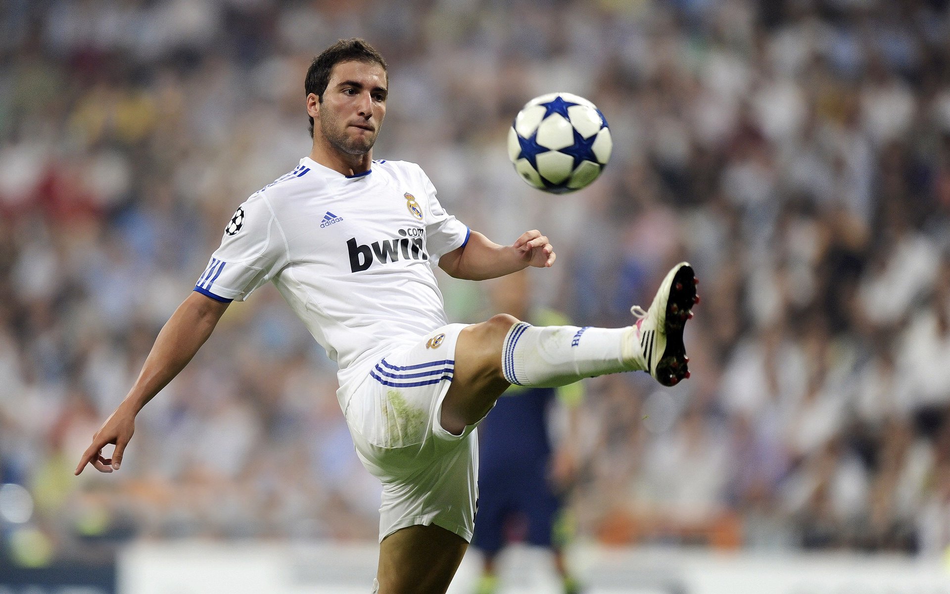 “美洲狮队凭借团队合作晋级橄榄球冠军锦标赛四强”